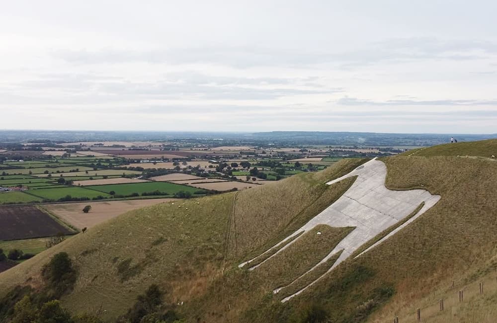 White Horse In Westbury Wiltshire